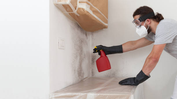 Professional Mold Inspection And Testing technician working in Wilmington, MA