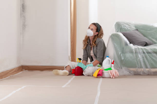 Reliable Mold Inspection And Testing contractor in Wilmington, MA by Car Mold Remediation